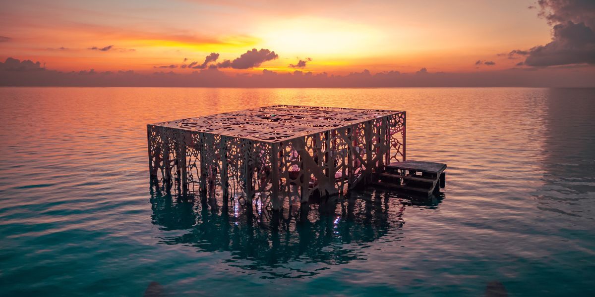 Coralarium Maldives at sirru fen fushi