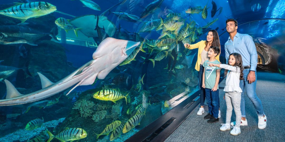 Dubai Aquarium & Underwater Zoo