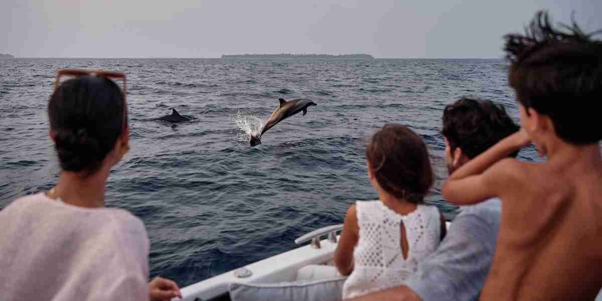 Finolhu dolphin cruise