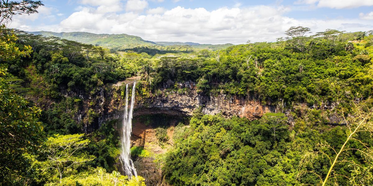 Mauritius Black River Gorges View