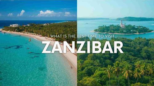 What Is the Best Time to Visit Zanzibar? Month-by-Month Guide