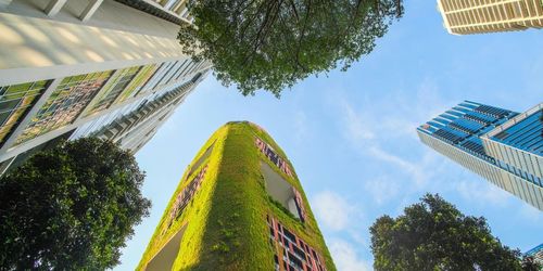 Greener Getaways: Sustainable Destinations to Know in 2026