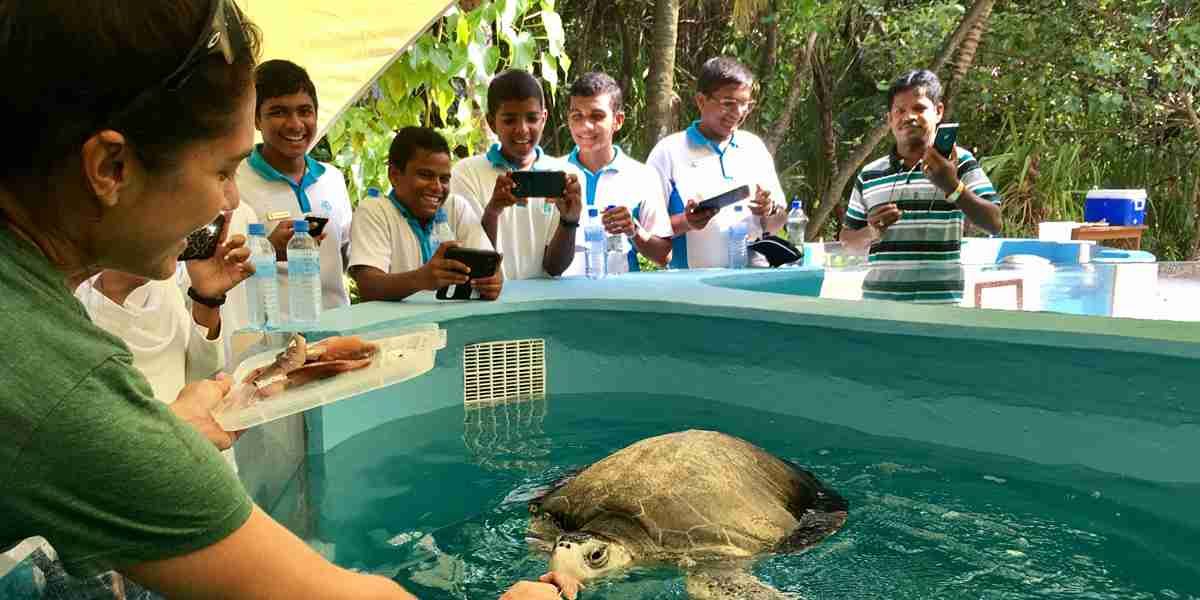 turtle rescue coco palm dhuhi kolhu
